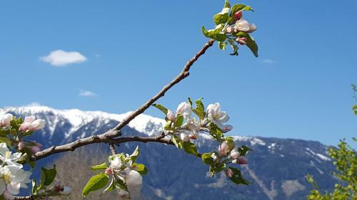 Hostal Fewo L�wenherz