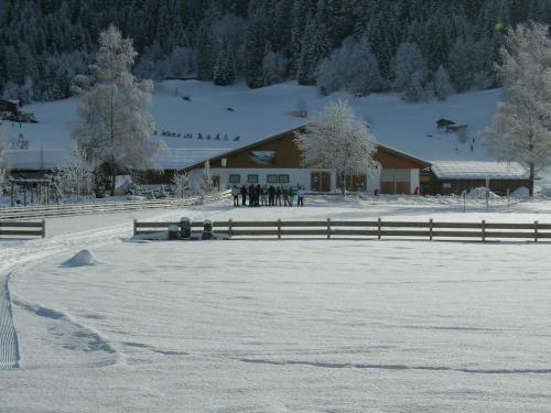 Hotel Alpenhof