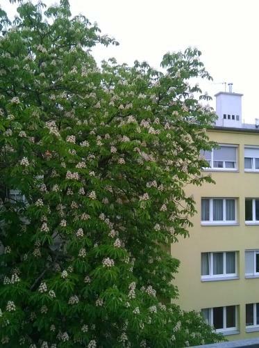 Westend City Hostel