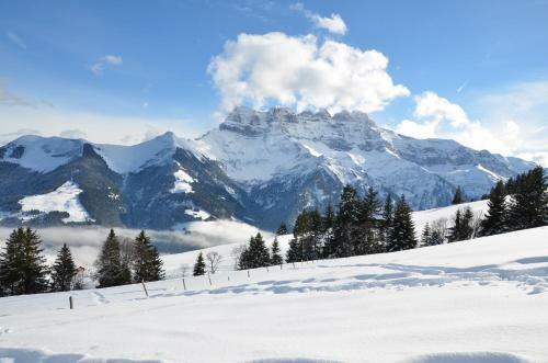 Bed & Breakfast Le Chalet De L'atelier