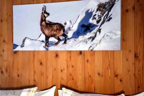 Hotel Cabana