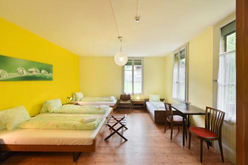 Albergue Budget Waldhotel Unspunnen