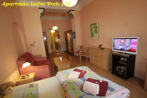 Apartmany U Divadla