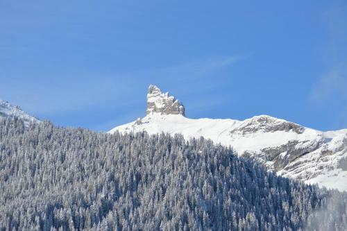 Hotel Belv�d�re