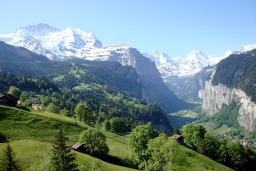 Hotel Belv�d�re