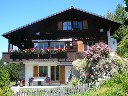 Apartamentos Chalet Acheregg
