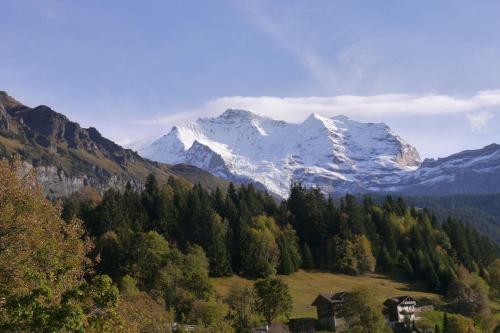 Apartamentos Chalet Acheregg