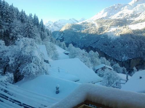 Apartamento Chalet Viola - Verena's Loft