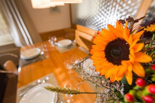 Apartamentos Haus Loree