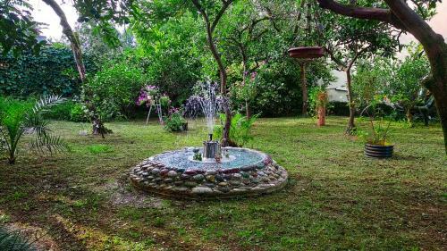 Hostal Guesthouse Green Oasis