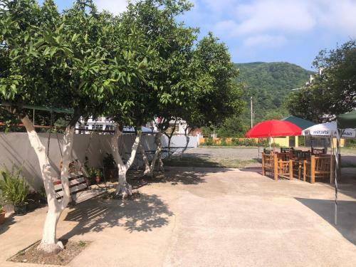 Hostal Guest House Zura