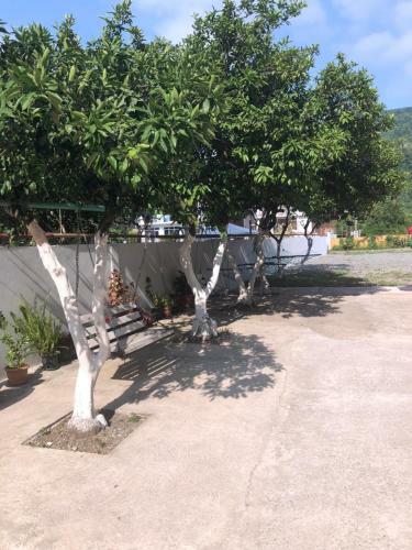 Hostal Guest House Zura