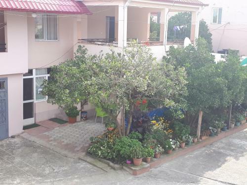 Hostal Guest House Roman/gonio