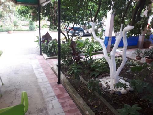 Hostal Guest House Roman/gonio