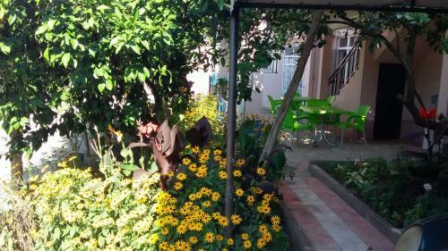 Hostal Guest House Roman/gonio