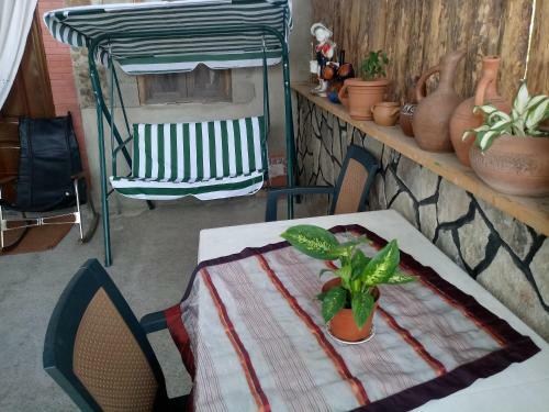 Hostal Tamar Guest House