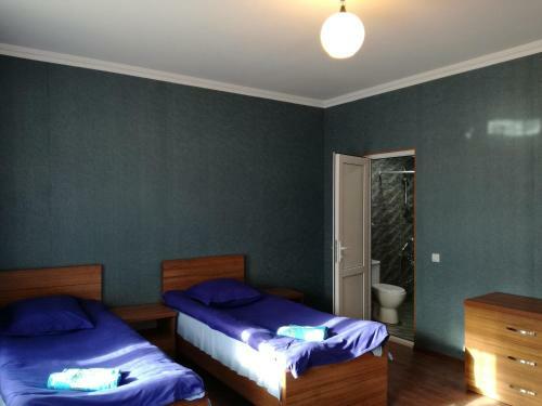 Hostal Gocha Toliketi Guesthouse