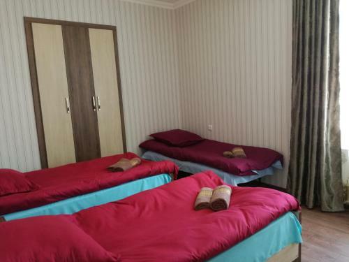 Hostal Gocha Toliketi Guesthouse