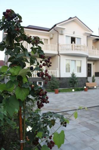 Hostal Guest House Sofia