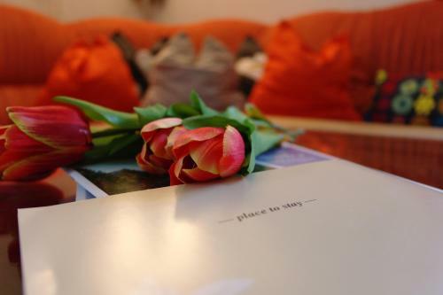 Apartment Fernerkogel