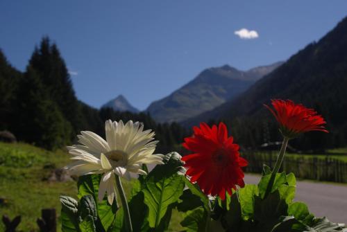 Apartment Fernerkogel