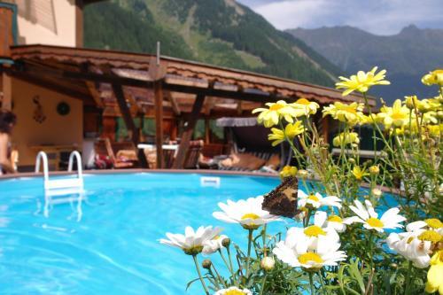 Apartment Fernerkogel