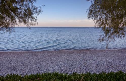 Apartamento Aliki Studios