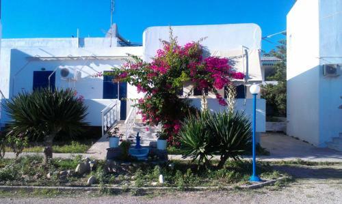 Aparthotel Iro Apartments