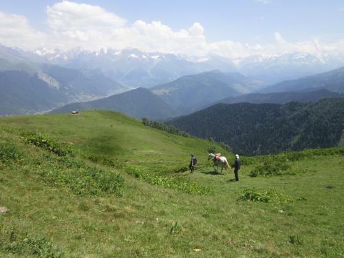 Hostal Ecohouse Svaneti