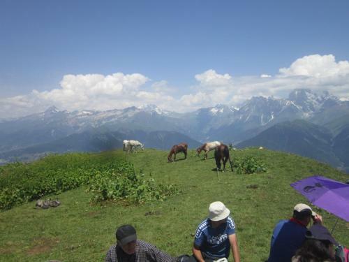 Hostal Ecohouse Svaneti