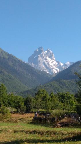 Hostal Ecohouse Svaneti