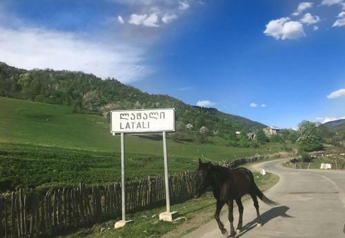 Hostal Eco Guest House Latali