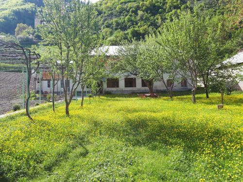 Hostal Guesthouse Aisi