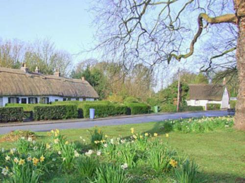 Childe Of Hale Cottage
