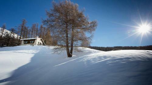 Chalet Charm