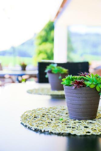 Hostal Pension Reiter-moravec