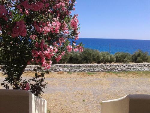 Aparthotel Skoutari Beach Hotel