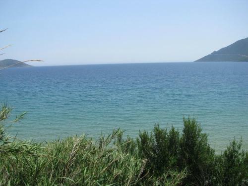 Aparthotel Skoutari Beach Hotel
