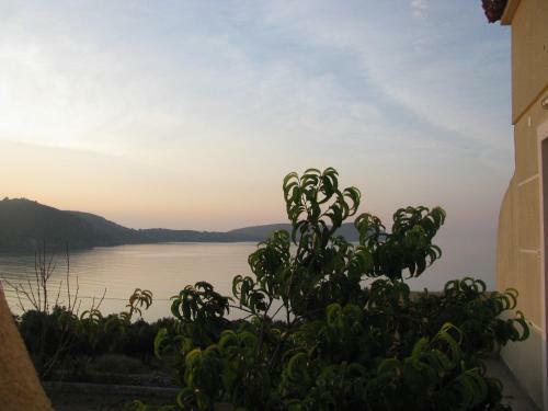 Aparthotel Skoutari Beach Hotel