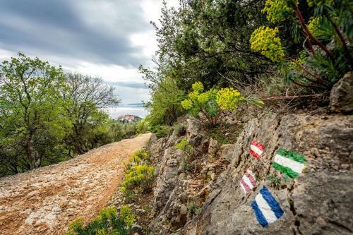 Hostal Pansion Tramontana