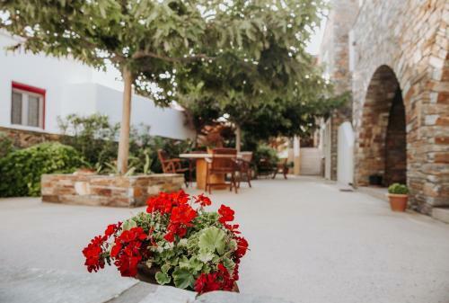 Aparthotel Augustis Suites