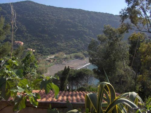 Apartamento Cota Quinta