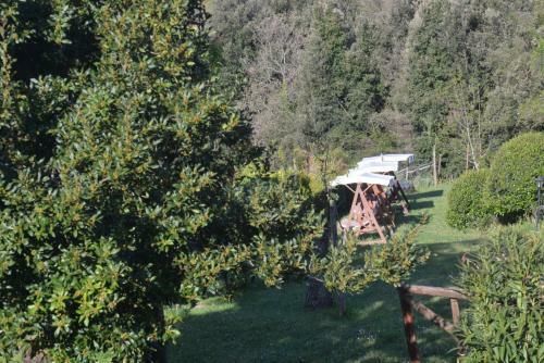 Agroturismo Casa Mazzoni