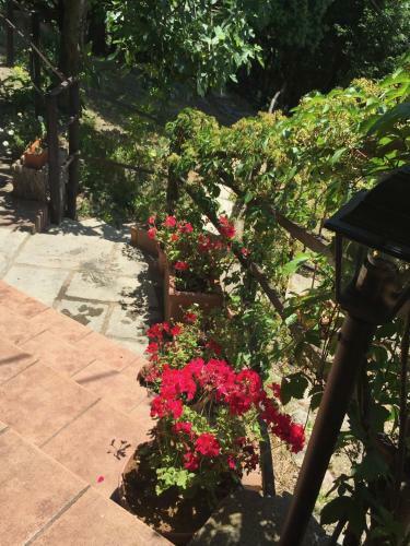 Agroturismo Casa Mazzoni