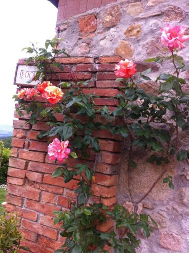 Agroturismo Casa Mazzoni