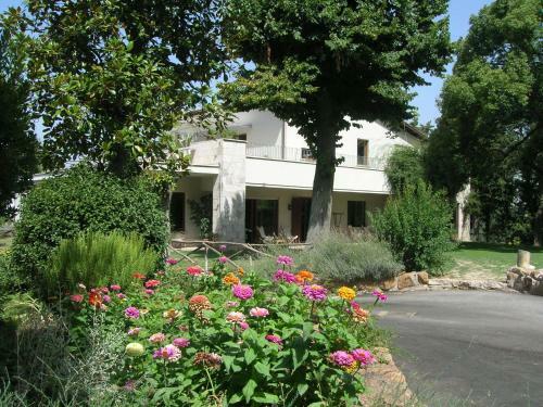 Bed & Breakfast Relais La Canfora