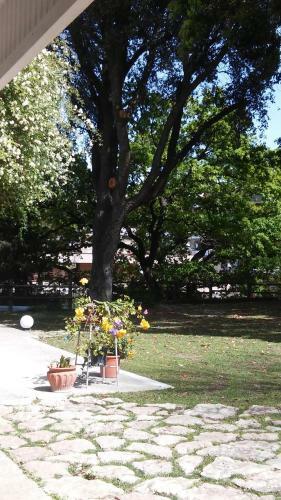 Bed & Breakfast Relais La Canfora