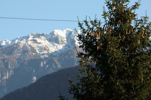 Apartamento Garn� Villa Waiz