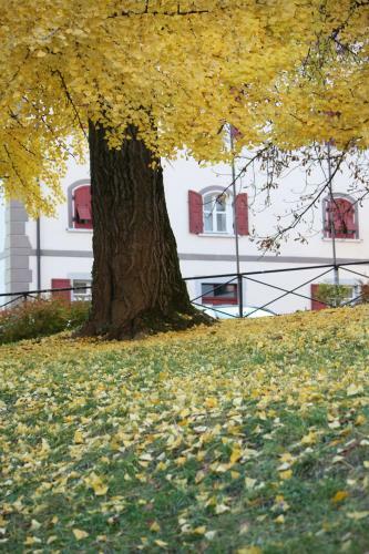 Apartamento Garn� Villa Waiz