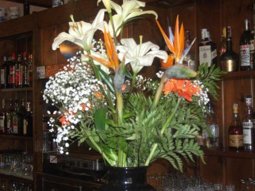 Hotel Albergo Breglia